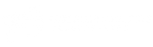 Anderson Controls Logo